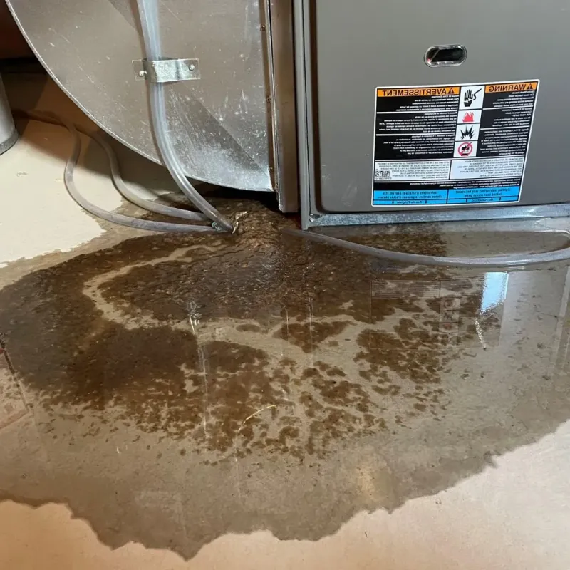 Pipe Burst and Leak Restoration in Farmington, MS